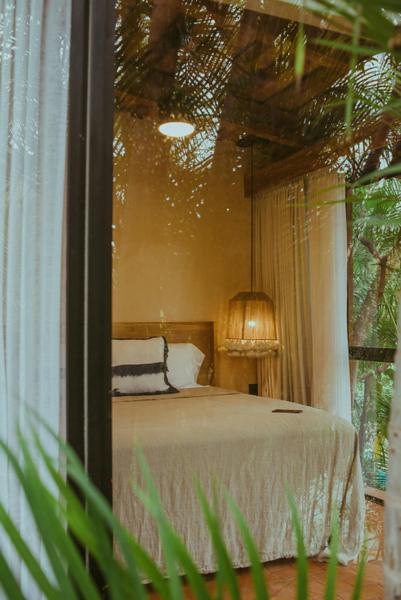 Suite Nature